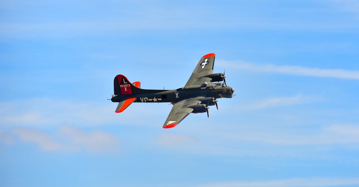 DDOS在线攻击平台|永恒之城怎么注册账号手游