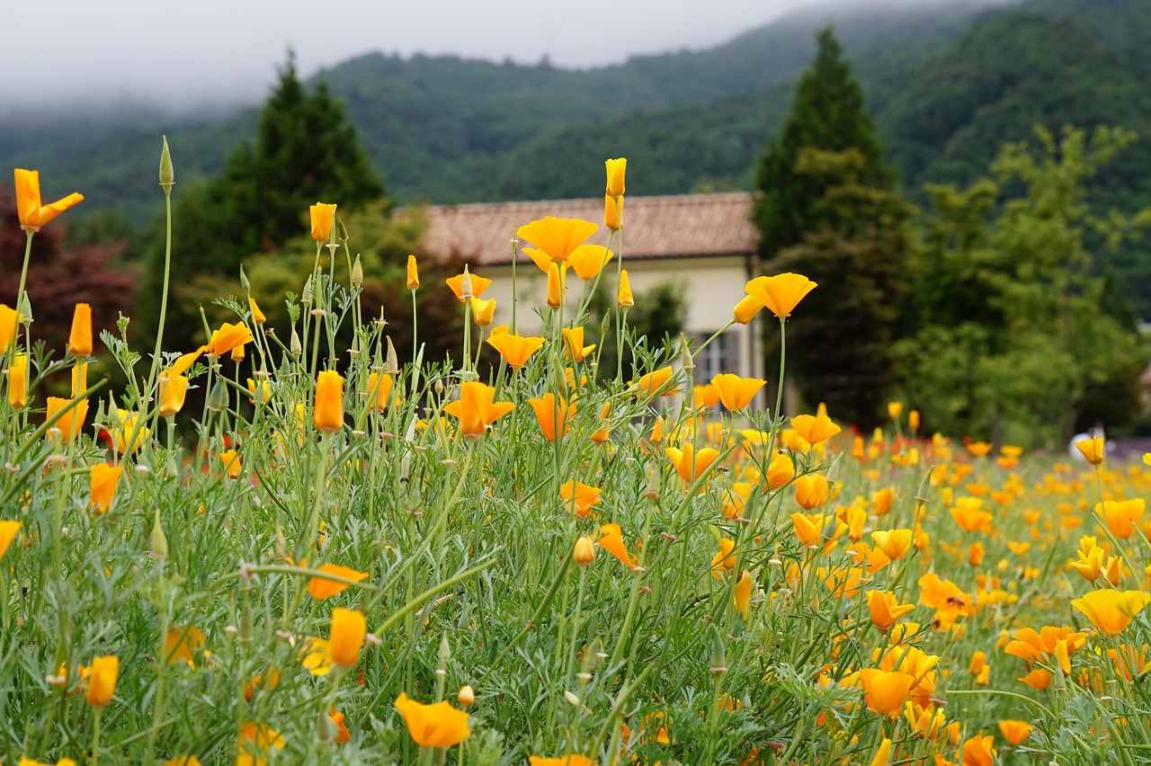 信无双浙江公司注册代理金额