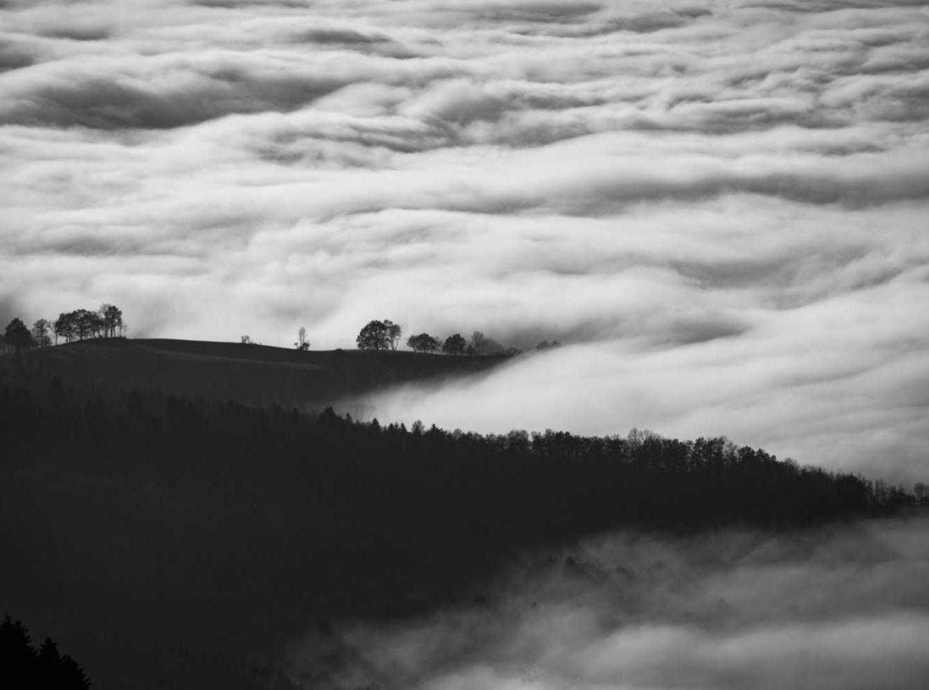 吸烟能改善脑部疾病吗？