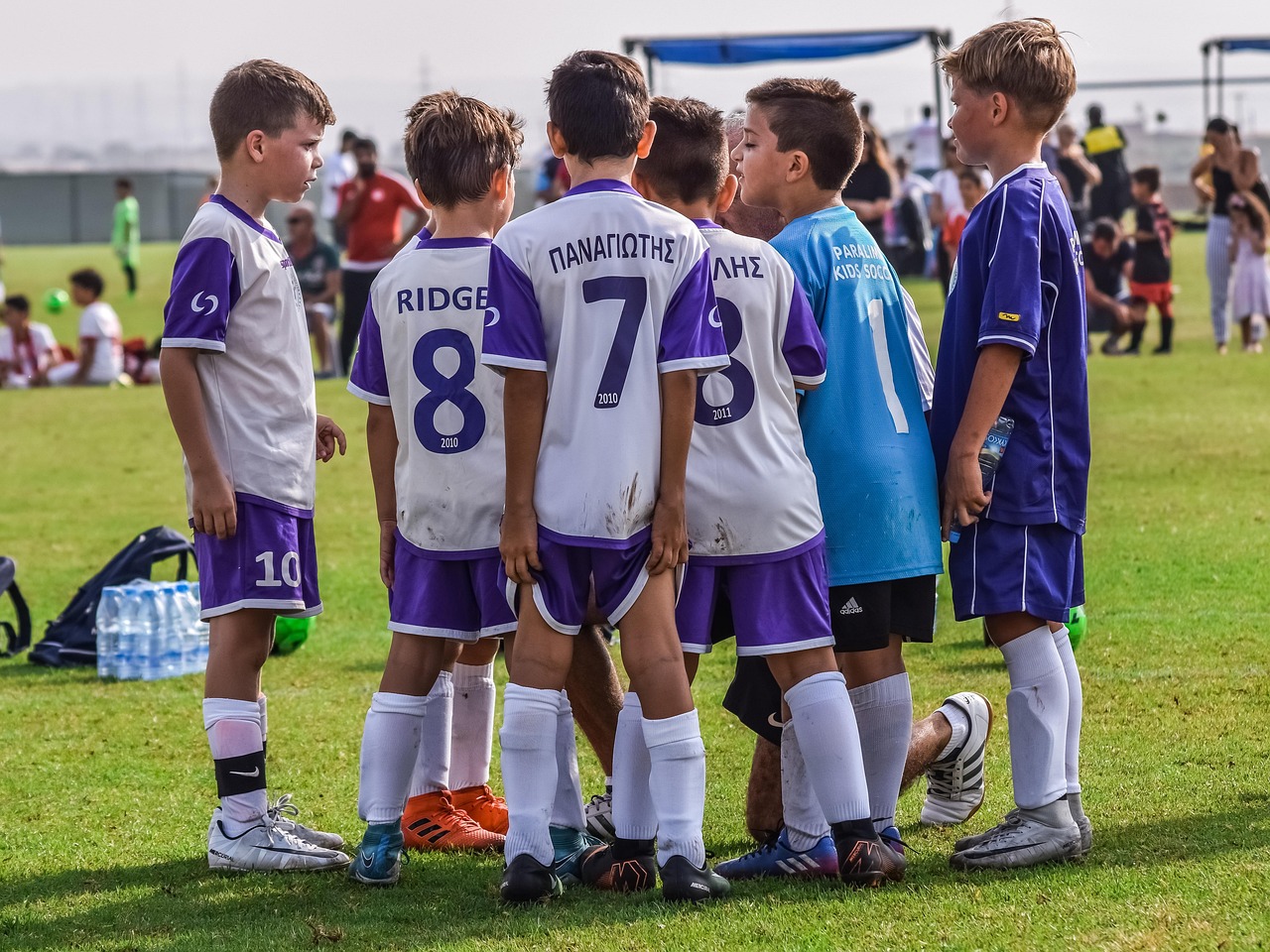 如何在短信营销中利用大数据