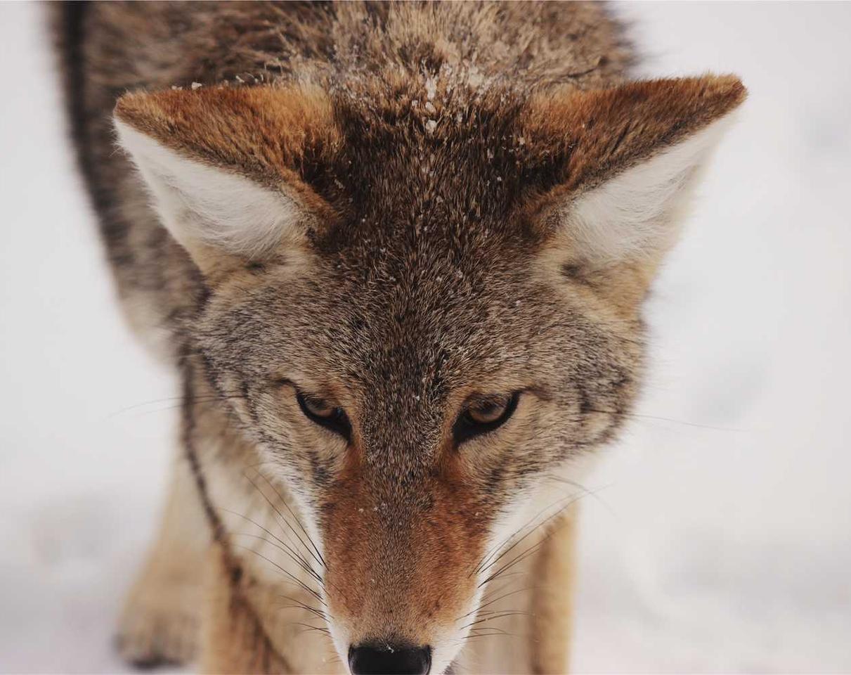 敢达争锋对决：潍坊代理注册注销