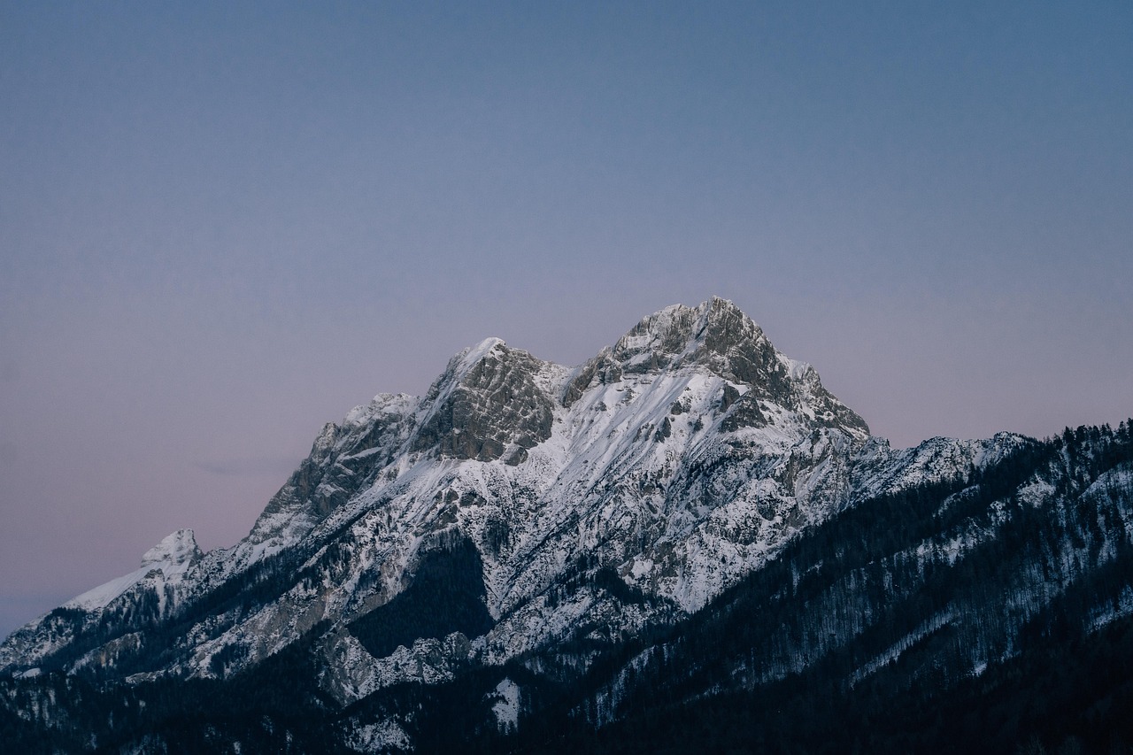 顶级烟花购买平台