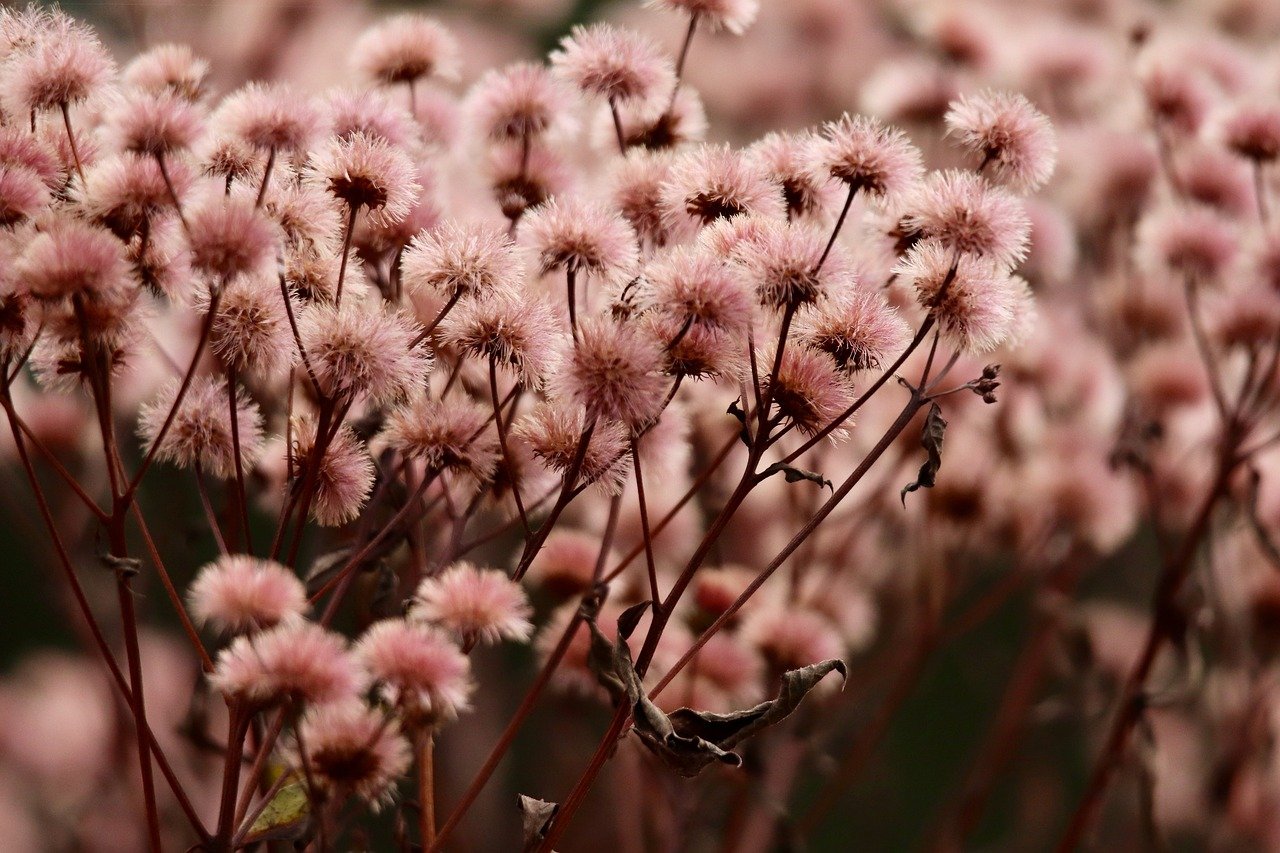 如何利用短信防范疾病