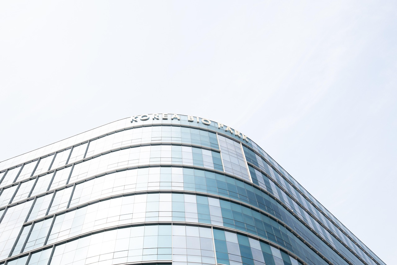 星辉一个人详情下载教程app